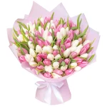 101 тюльпан бело-розовый микс